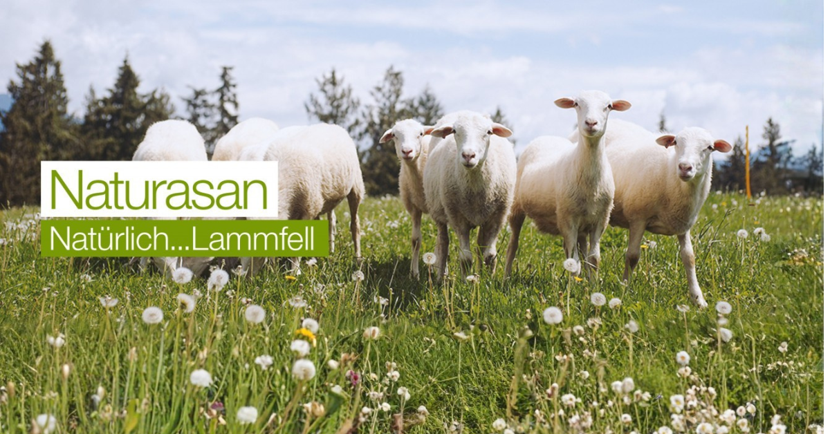 Natürlich Lammfell
– naturasan-fellshop
